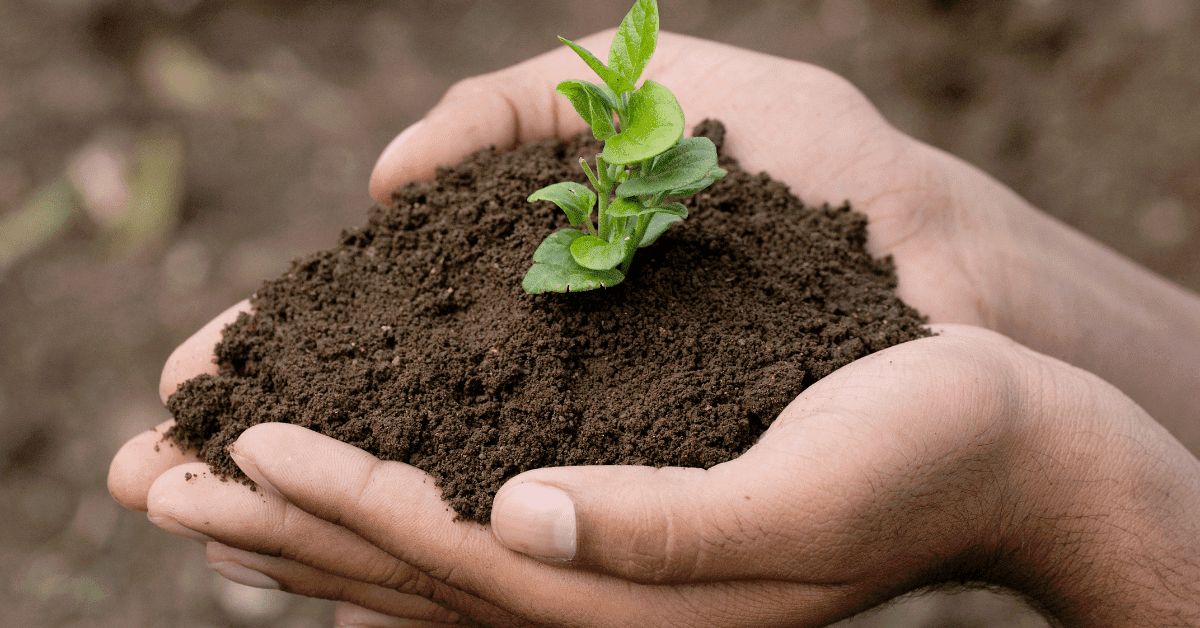 Srijan Celebrates World Environment Day